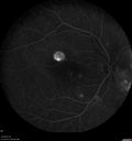 csr-pdt_seca_102318_20.jpg