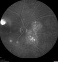 csr-pdt_seca_102318_23.jpg
