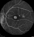 csr-pdt_seca_102318_24.jpg