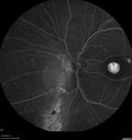 csr-pdt_seca_102318_25.jpg