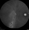 csr-pdt_seca_102318_26.jpg