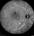 csr-pdt_seca_102318_28.jpg
