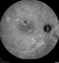 csr-pdt_seca_102318_30.jpg
