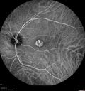 csr-pdt_seca_102318_32.jpg