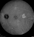 csr-pdt_seca_102318_33.jpg
