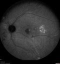 csr-pdt_seca_102318_34.jpg