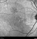 csr-pdt_seca_102318_35.jpg