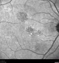 csr-pdt_seca_102318_38.jpg