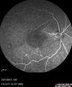 csr_arbr_022117_15.jpg