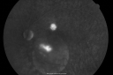 csrour_dast_282029.png