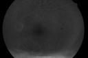 csrsteroids_tidu12.png