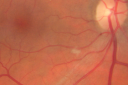cwsinitial_28229.png