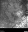 discOD-GAOS_cjlor_081622_06.jpg
