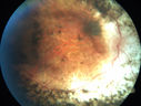 enhancedScone_dowhi_012120_01.jpg