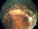 enhancedScone_dowhi_012120_02.jpg