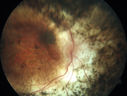 enhancedScone_dowhi_012120_04.jpg