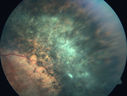 enhancedScone_dowhi_012120_07.jpg