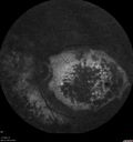 enhancedScone_dowhi_012120_20.jpg