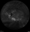 enhancedScone_dowhi_012120_21.jpg