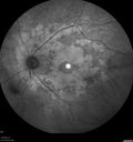 ga-jobau_031919_09.jpg