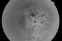 gunshottohead_elbe16.png