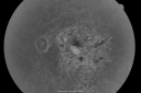 gunshottohead_elbe23.png