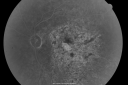 gunshottohead_elbe24.png