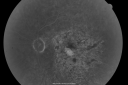 gunshottohead_elbe26.png