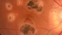 histo_liste1_050119_02.jpg