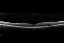 ipcv_doke_090315_07.jpg