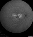 ipcv_joca_040313_22.jpg