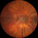 ma_frric_070119_01.png