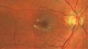 mactel_bltic_021921_01.jpg
