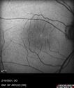 mactel_bltic_021921_05.jpg