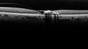 mactel_chpas_042021_06.jpg