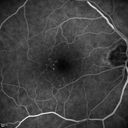 microanwithoutBDR_edwe_020414_19.jpg