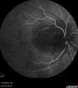 orbcell_pabr_101915_10.jpg