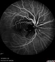 orbcell_pabr_101915_14.jpg