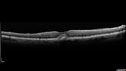 patternD_shsne_092817_11.jpg