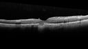 pattern_rugr_031918_14.jpg
