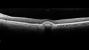 pattern_rugr_031918_15.jpg