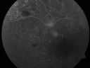 pdr_66200_281229.jpg