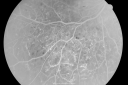 pdrmyodis_jeva_281229.png