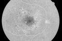 pdrmyodis_jeva_281329.png