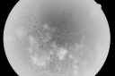 pdroucmeod_mipo_282329.png
