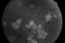 pdroucmeod_mipo_282529.png