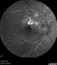 pic_CNVM-jewal_020619andlater18.jpg