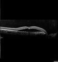 pitRD_evco_011217_07.jpg