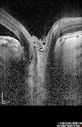 pitRD_evco_011217_10.jpg