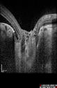 pitRD_evco_011217_14~0.jpg